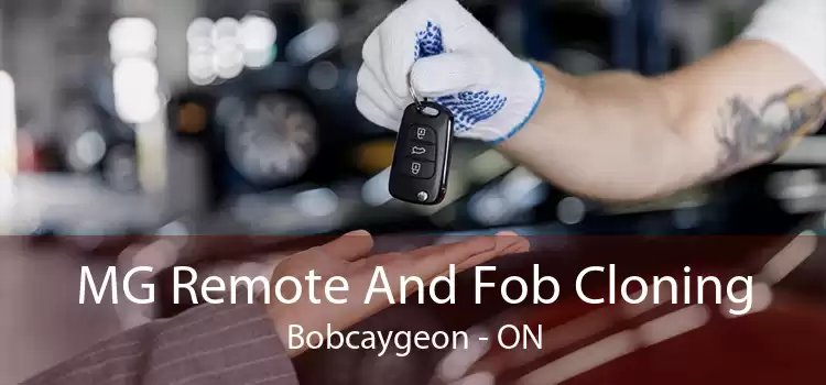 MG Remote And Fob Cloning Bobcaygeon - ON