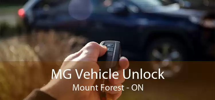 MG Vehicle Unlock Mount Forest - ON