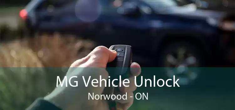 MG Vehicle Unlock Norwood - ON