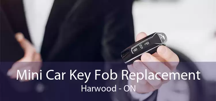Mini Car Key Fob Replacement Harwood - ON