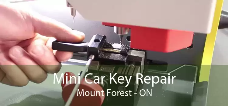 Mini Car Key Repair Mount Forest - ON