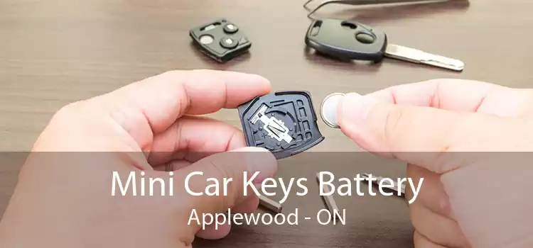 Mini Car Keys Battery Applewood - ON