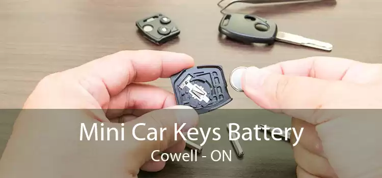 Mini Car Keys Battery Cowell - ON