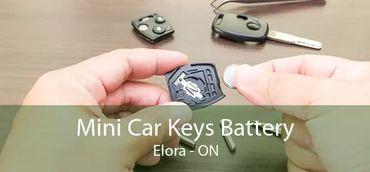 Mini Car Keys Battery Elora - ON