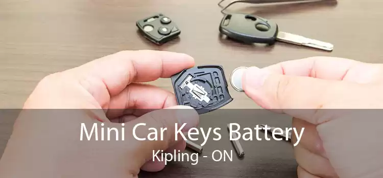 Mini Car Keys Battery Kipling - ON