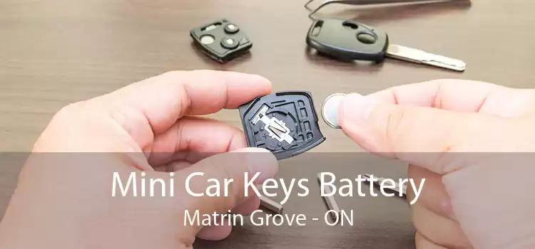 Mini Car Keys Battery Matrin Grove - ON