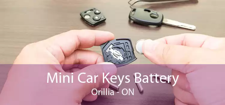 Mini Car Keys Battery Orillia - ON