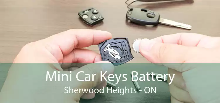 Mini Car Keys Battery Sherwood Heights - ON