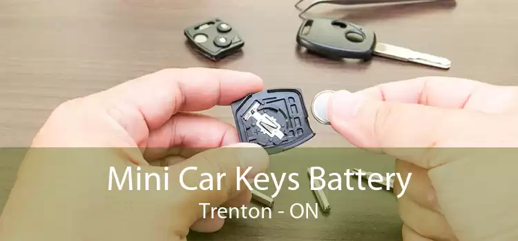 Mini Car Keys Battery Trenton - ON