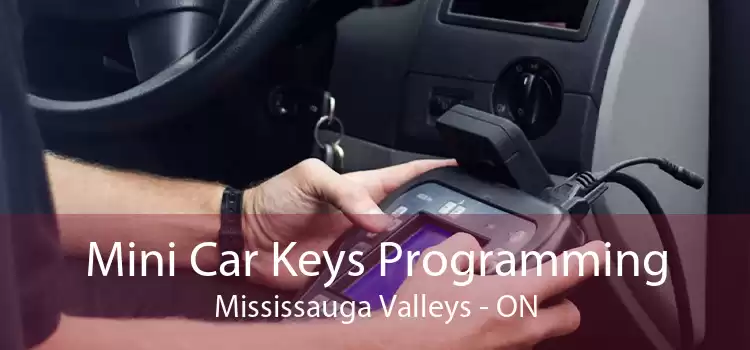 Mini Car Keys Programming Mississauga Valleys - ON