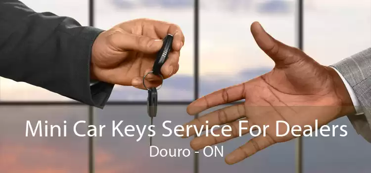 Mini Car Keys Service For Dealers Douro - ON