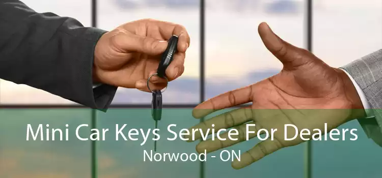Mini Car Keys Service For Dealers Norwood - ON