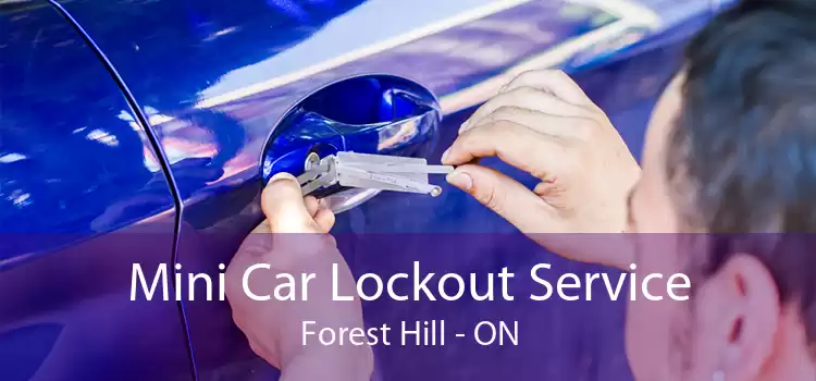 Mini Car Lockout Service Forest Hill - ON