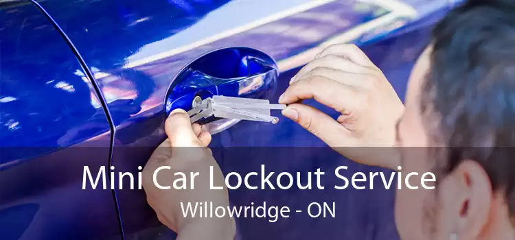 Mini Car Lockout Service Willowridge - ON