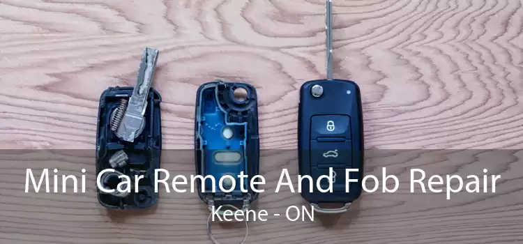 Mini Car Remote And Fob Repair Keene - ON