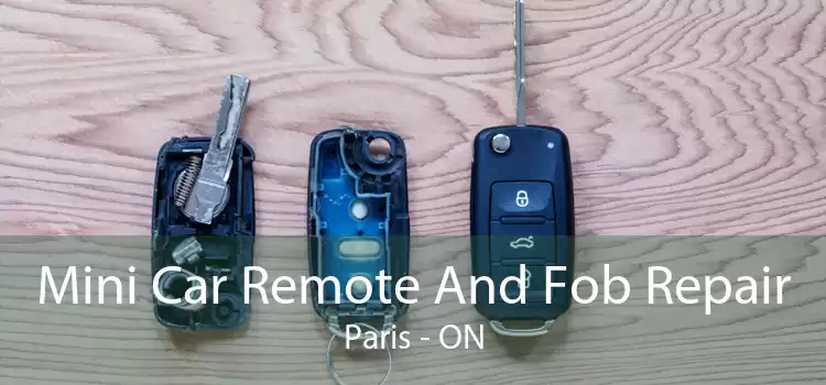 Mini Car Remote And Fob Repair Paris - ON