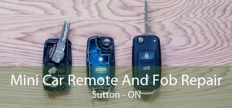 Mini Car Remote And Fob Repair Sutton - ON