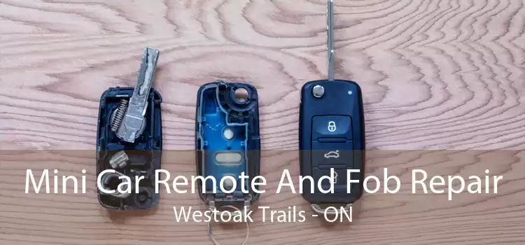 Mini Car Remote And Fob Repair Westoak Trails - ON