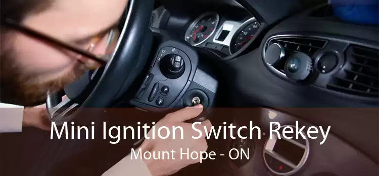 Mini Ignition Switch Rekey Mount Hope - ON