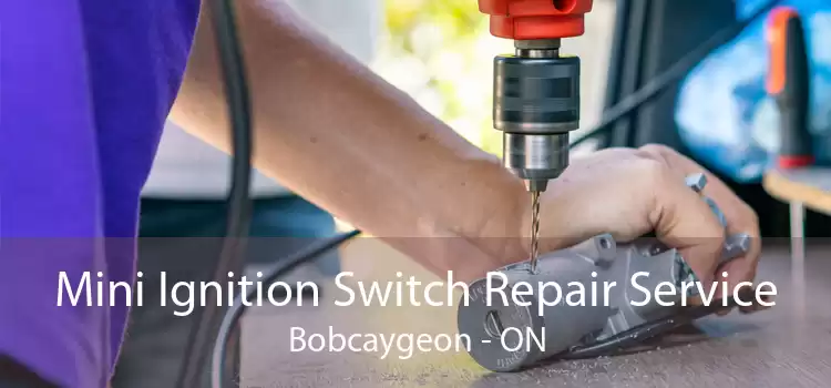 Mini Ignition Switch Repair Service Bobcaygeon - ON
