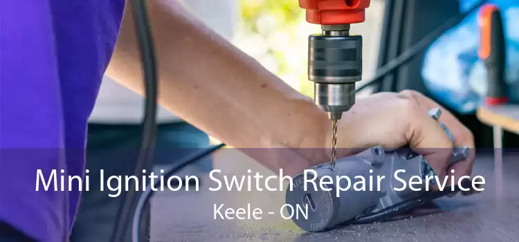 Mini Ignition Switch Repair Service Keele - ON