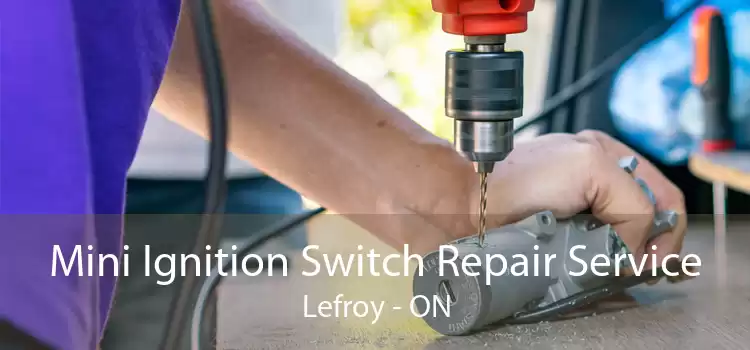 Mini Ignition Switch Repair Service Lefroy - ON
