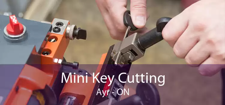Mini Key Cutting Ayr - ON