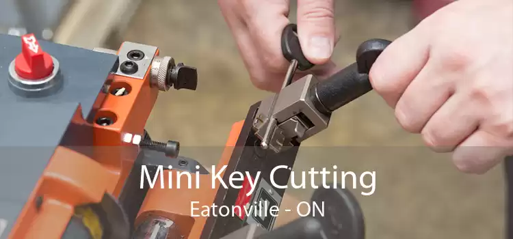 Mini Key Cutting Eatonville - ON