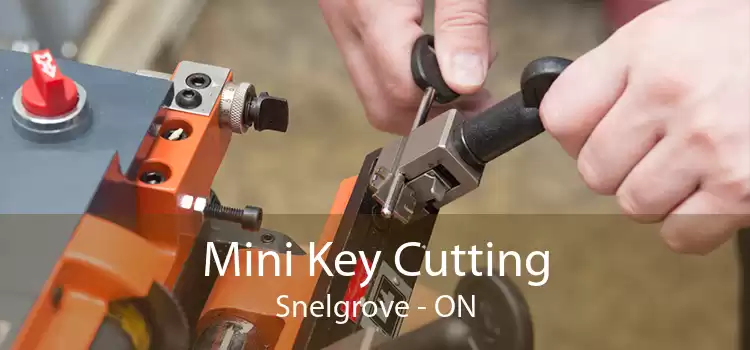 Mini Key Cutting Snelgrove - ON