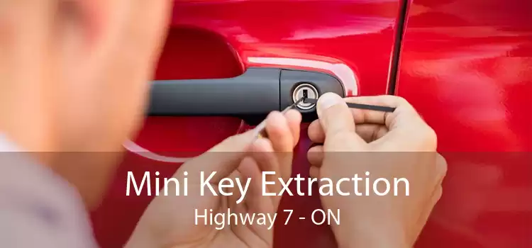 Mini Key Extraction Highway 7 - ON