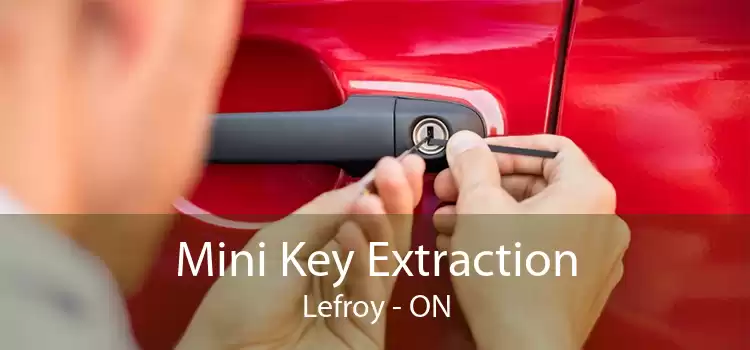 Mini Key Extraction Lefroy - ON