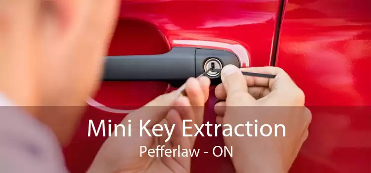Mini Key Extraction Pefferlaw - ON