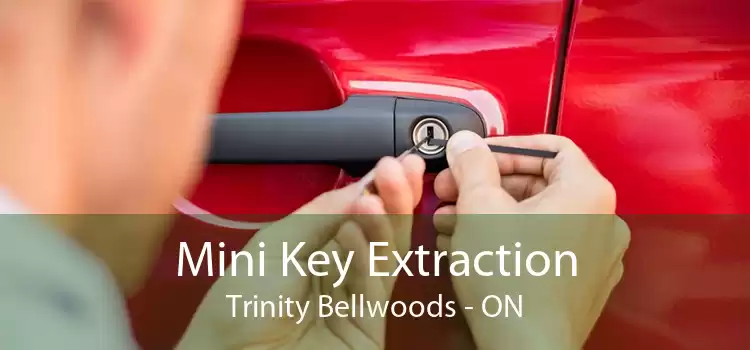 Mini Key Extraction Trinity - Bellwoods - ON
