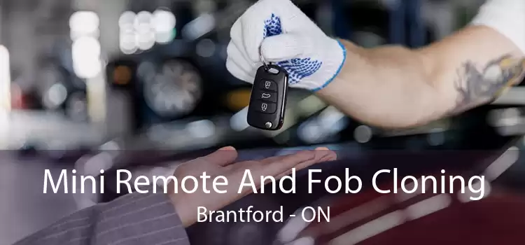 Mini Remote And Fob Cloning Brantford - ON