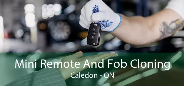 Mini Remote And Fob Cloning Caledon - ON