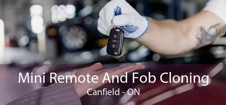 Mini Remote And Fob Cloning Canfield - ON