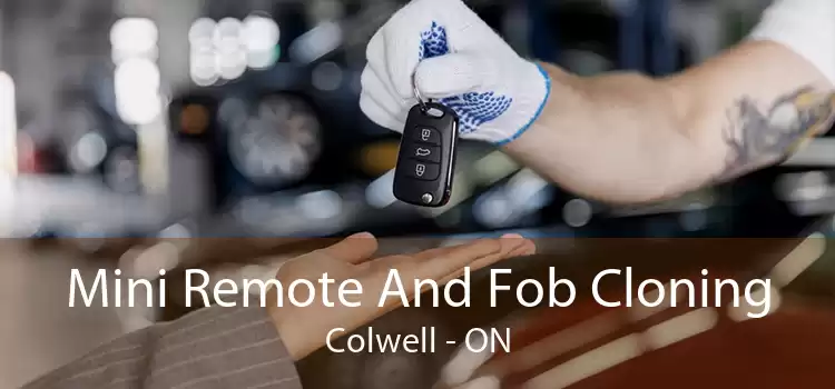 Mini Remote And Fob Cloning Colwell - ON