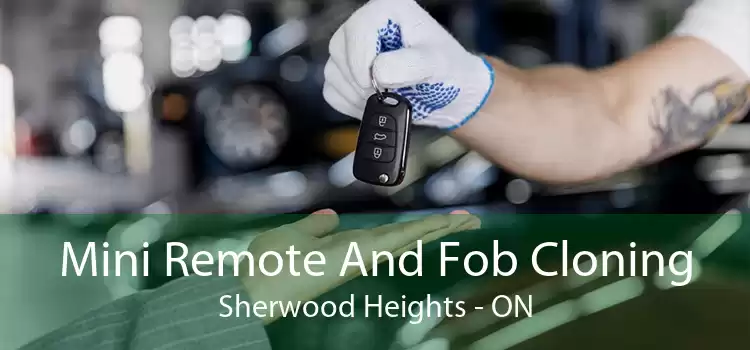 Mini Remote And Fob Cloning Sherwood Heights - ON