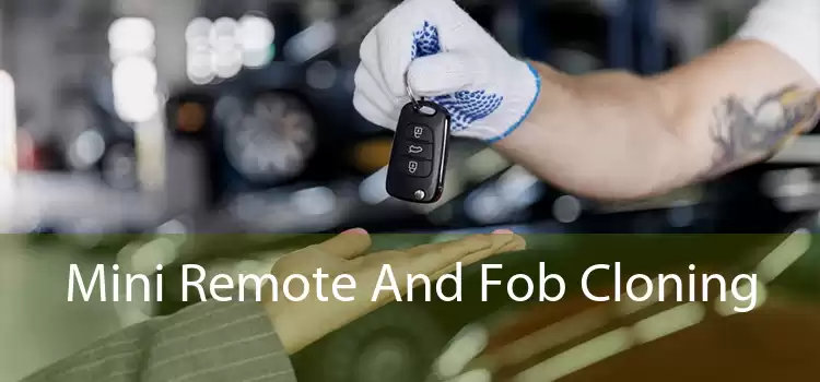 Mini Remote And Fob Cloning 