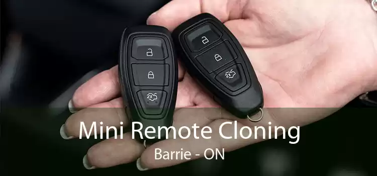 Mini Remote Cloning Barrie - ON