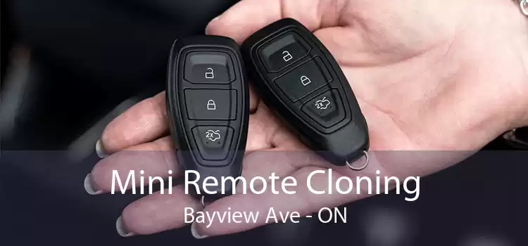 Mini Remote Cloning Bayview Ave - ON