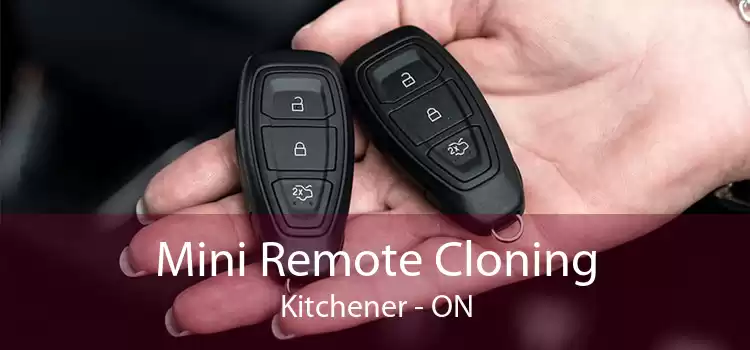 Mini Remote Cloning Kitchener - ON