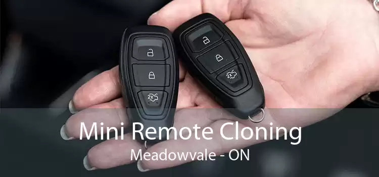 Mini Remote Cloning Meadowvale - ON