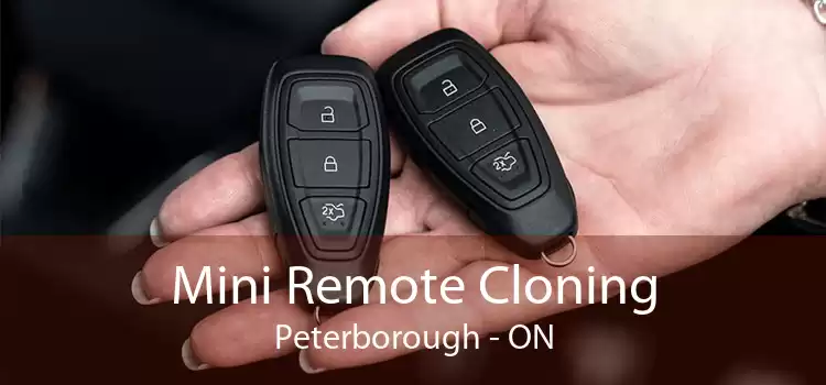 Mini Remote Cloning Peterborough - ON