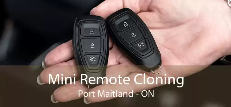 Mini Remote Cloning Port Maitland - ON