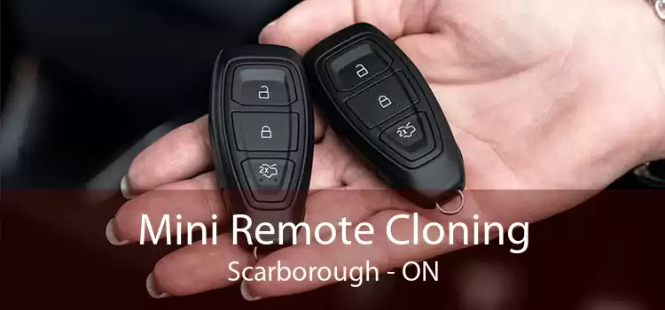 Mini Remote Cloning Scarborough - ON