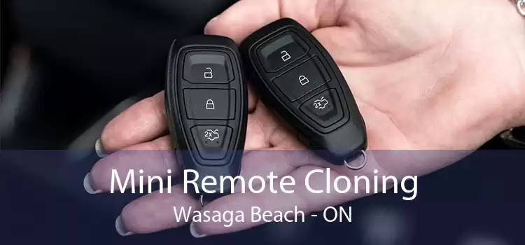 Mini Remote Cloning Wasaga Beach - ON