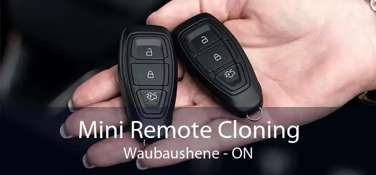 Mini Remote Cloning Waubaushene - ON