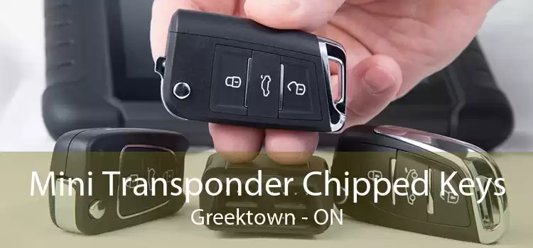 Mini Transponder Chipped Keys Greektown - ON