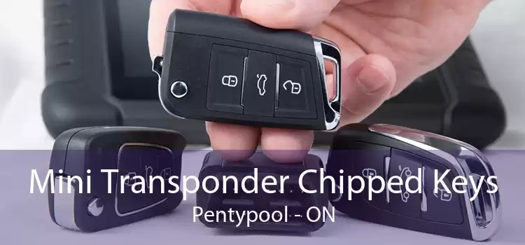 Mini Transponder Chipped Keys Pentypool - ON